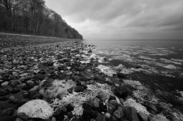 Ostseeküste am Waldrand von Nørreskov auf der dänischen Insel Als © Holger Rüdel