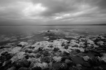 Ostseeküste am Waldrand von Nørreskov auf der dänischen Insel Als © Holger Rüdel
