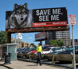 Plakat gegen die Wolfsjagd in Minnesota © Holger Rüdel