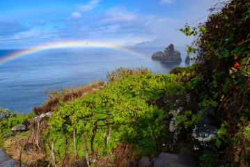 Madeira, Blick auf Ilheus da Ribeira da Janela © Holger Rüdel