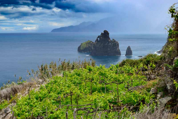 Madeira, Blick auf Ilheus da Ribeira da Janela © Holger Rüdel