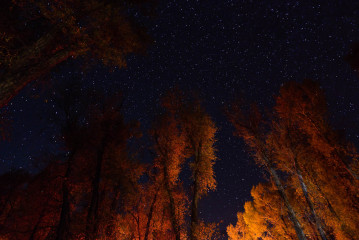 Sternenhimmel über dem Gros Ventre Campground © Holger Rüdel