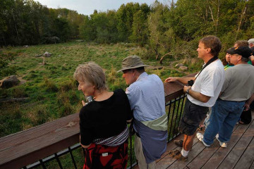 Besucher auf der Aussichtsplattform im Vince Shute Wildlife Sanctuary in Orr, Minnesota (USA) © Holger Rüdel