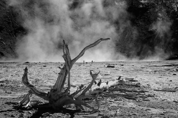 Yellowstone National Park Infrarot © Holger Rüdel