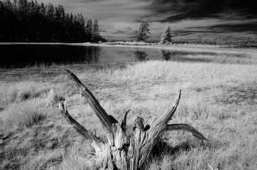 Yellowstone National Park Infrarot © Holger Rüdel