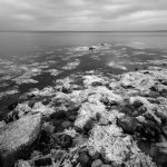 Ostseeküste am Rand des Waldes Nørreskov an der Ostküste der Insel Als in Dänemark. Die Aufnahme entstand mit einer für monochrome Infrarot-Fotografie umgebauten Nikon D700.