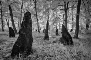 Louisenlund auf Bornholm – archaische Monumente im Infrarotlicht: Die Reduktion auf die dunkle Form hebt die Bautasteine als zeitlose, unbewegliche Fixpunkte aus dem surreal leuchtenden Wald heraus.