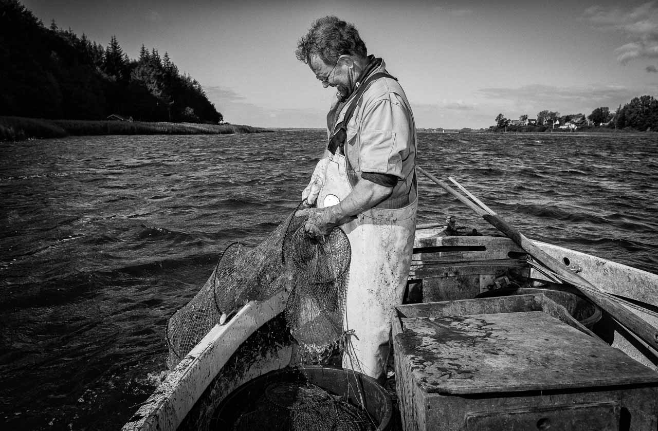Matthias Nanz aus Schleswig ist einer der letzten Berufsfischer an der Schlei. Invasionen von Rippenquallen wie hier Im Spätsommer 2019 sind eine neue Herausforderung für ihn und seine Kollegen. Die Reusen sind mit Quallen verstopft. Der Fischfang kommt zum Erliegen.