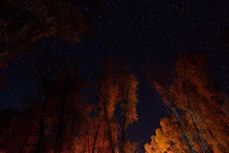 Sternenhimmel über dem Grand Teton National Park