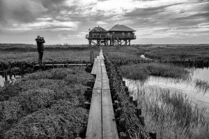 Die Hallig Norderoog mit dem Vogelwart Nils Bayer, der von März bis Oktober 2025 im Auftrag des Vereins Jordsand auf Norderoog im nordfriesischen Wattenmeer lebte.