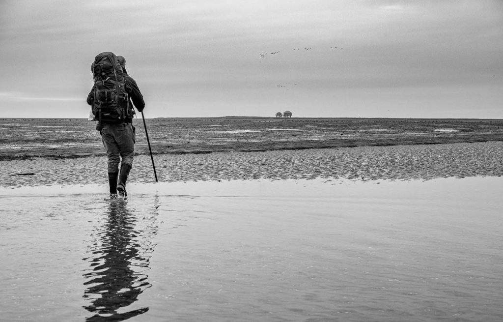 Die Hallig Norderoog mit dem Vogelwart Nils Bayer, der von März bis Oktober 2025 im Auftrag des Vereins Jordsand auf Norderoog im nordfriesischen Wattenmeer lebte.