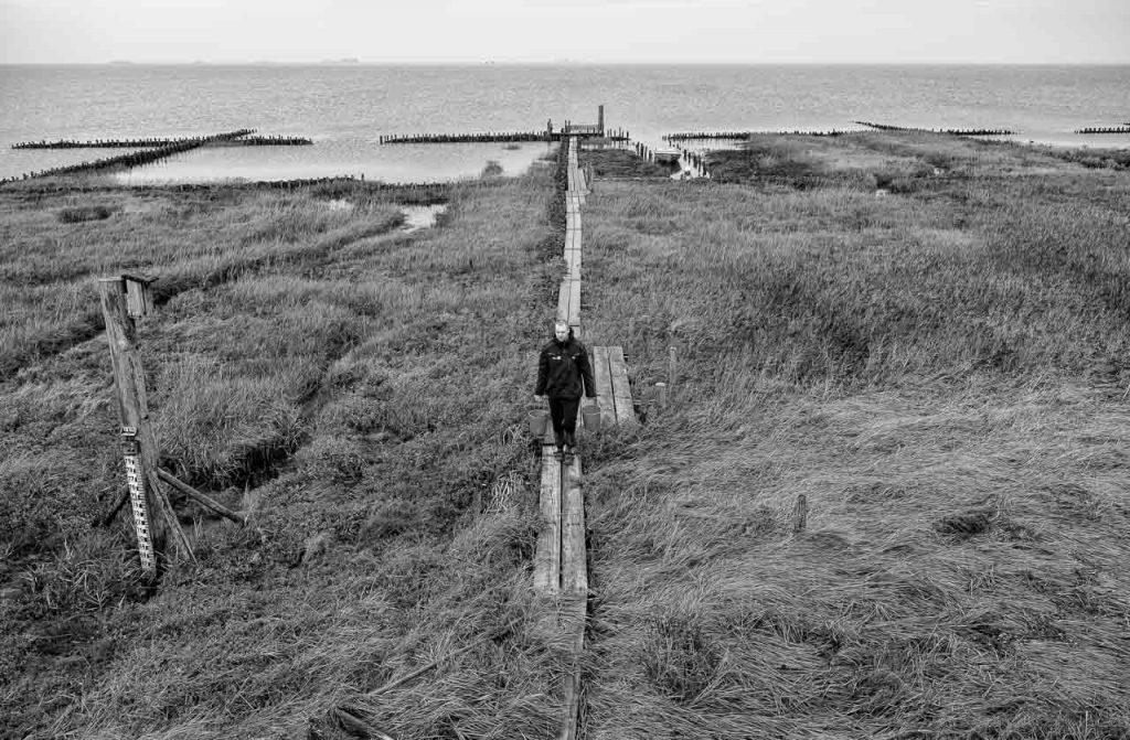 Die Hallig Norderoog mit dem Vogelwart Nils Bayer, der von März bis Oktober 2025 im Auftrag des Vereins Jordsand auf Norderoog im Nordfriesischen Wattenmeer lebte.