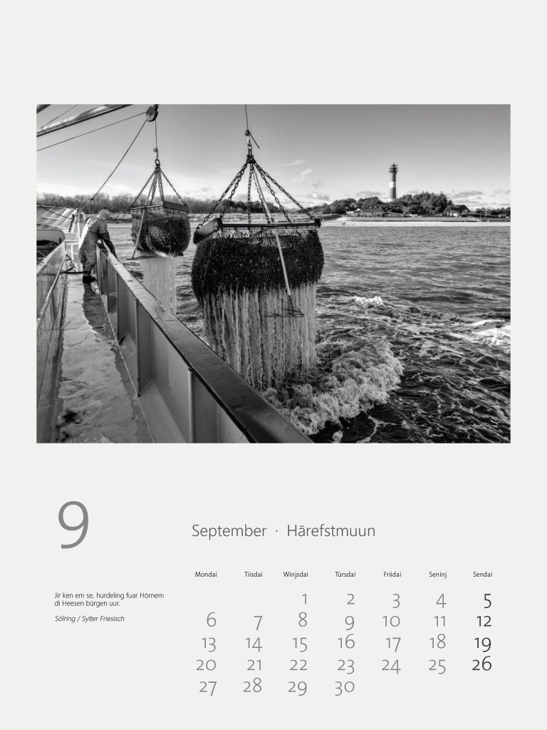 Kalender Jarling 2027: Die Miesmuschelernte vor Hörnum auf Sylt bildet das September-Motiv.