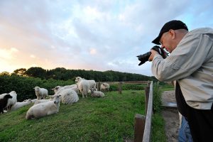 Jim Brandenburg mit Infrarot-Kamera in Haithabu bei Schleswig © Holger Rüdel