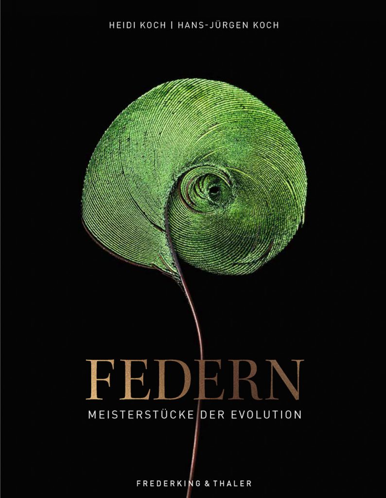 Heidi & Hans-Jürgen Koch: FEDERN. Meisterstücke der Evolution. Frederking & Thaler 2023. Text und Fotografien: HEIDI & HANS-JÜRGEN KOCH.
