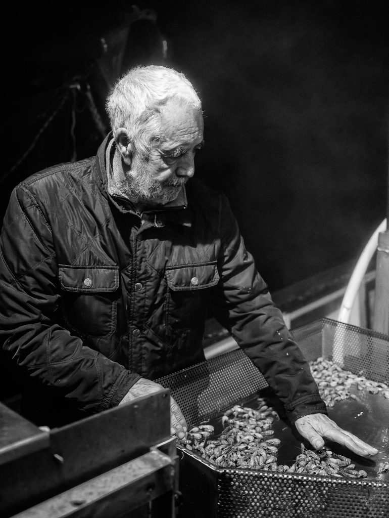 Nach dem Kochen im heißen Meerwasser prüft Fritz Ronnebeck die frisch gefangenen Krabben. Erfahrung und Handwerk bestimmen diesen Arbeitsschritt, der über die Qualität des Fangs entscheidet.