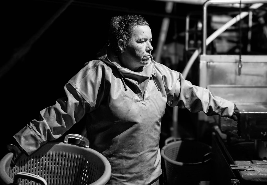 Katrin Knudsen bei der Arbeit an Bord des Krabbenkutters Annemarie.