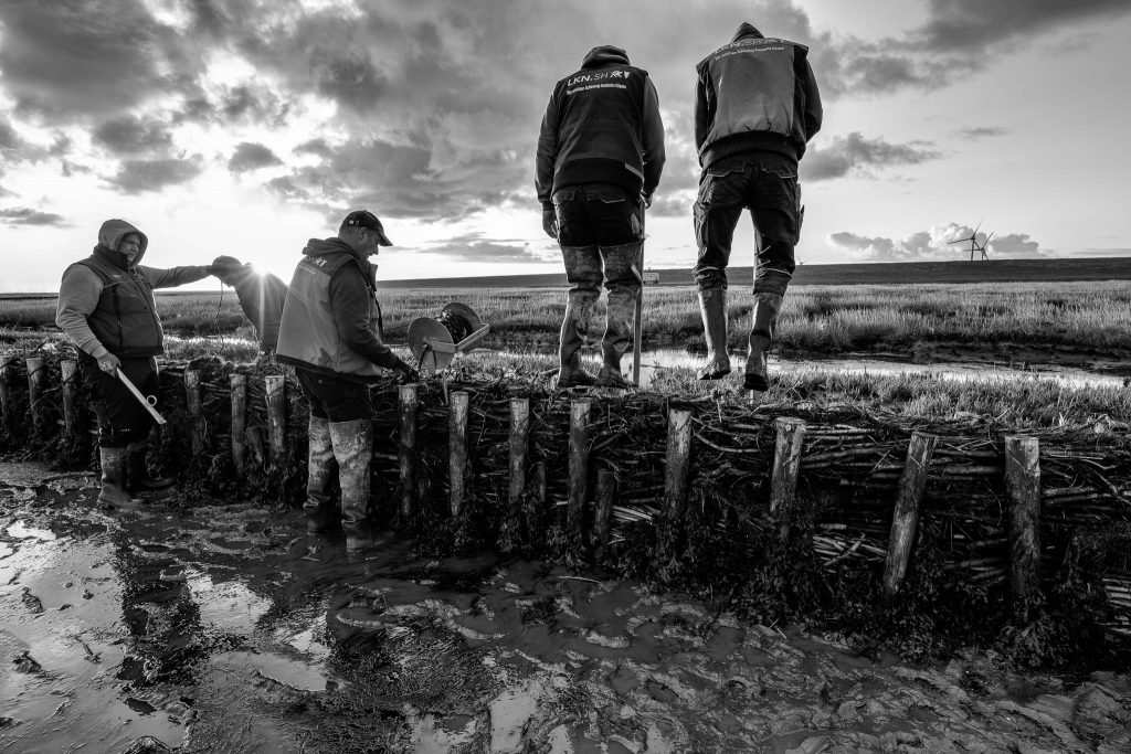 Lahnungsarbeiten des Landesbetriebs für Küstenschutz, Nationalpark und Meeresschutz Schleswig-Holstein (LKN.SH) im Watt vor Pellworm.