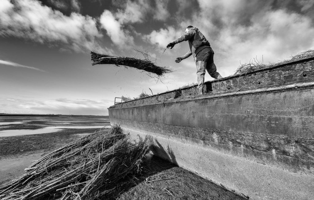 Lahnungsarbeiten des Landesbetriebs für Küstenschutz, Nationalpark und Meeresschutz Schleswig-Holstein (LKN.SH) im Watt vor Pellworm.