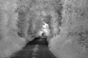 Long and Winding Road