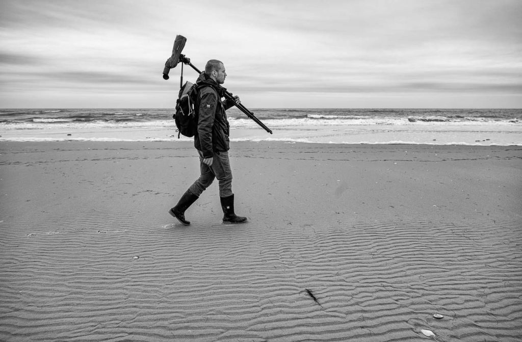 Vogelwart Nils Bayer bei einem Kontrollgang auf Norderoogsand, einer der drei großen Außensände im Nordfriesischen Wattenmeer vor Schleswig-Holstein.