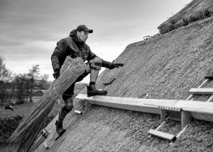 Das über 300 Jahre alte friesische Bauernhaus der Familie Andersen in Risum-Lindholm ist heute Museum friesischer Lebensweise vergangener Jahrhunderte und Kulturzentrum für die Region. Im Herbst 2025 wurde eine Hälfte des Reedachs erneuert. Das Bild zeigt den Reetdachdecker Janko Schwanz von der Firma Bartlefsen beim Aufstieg auf das Dach mit einem neuen Bündel Reet.