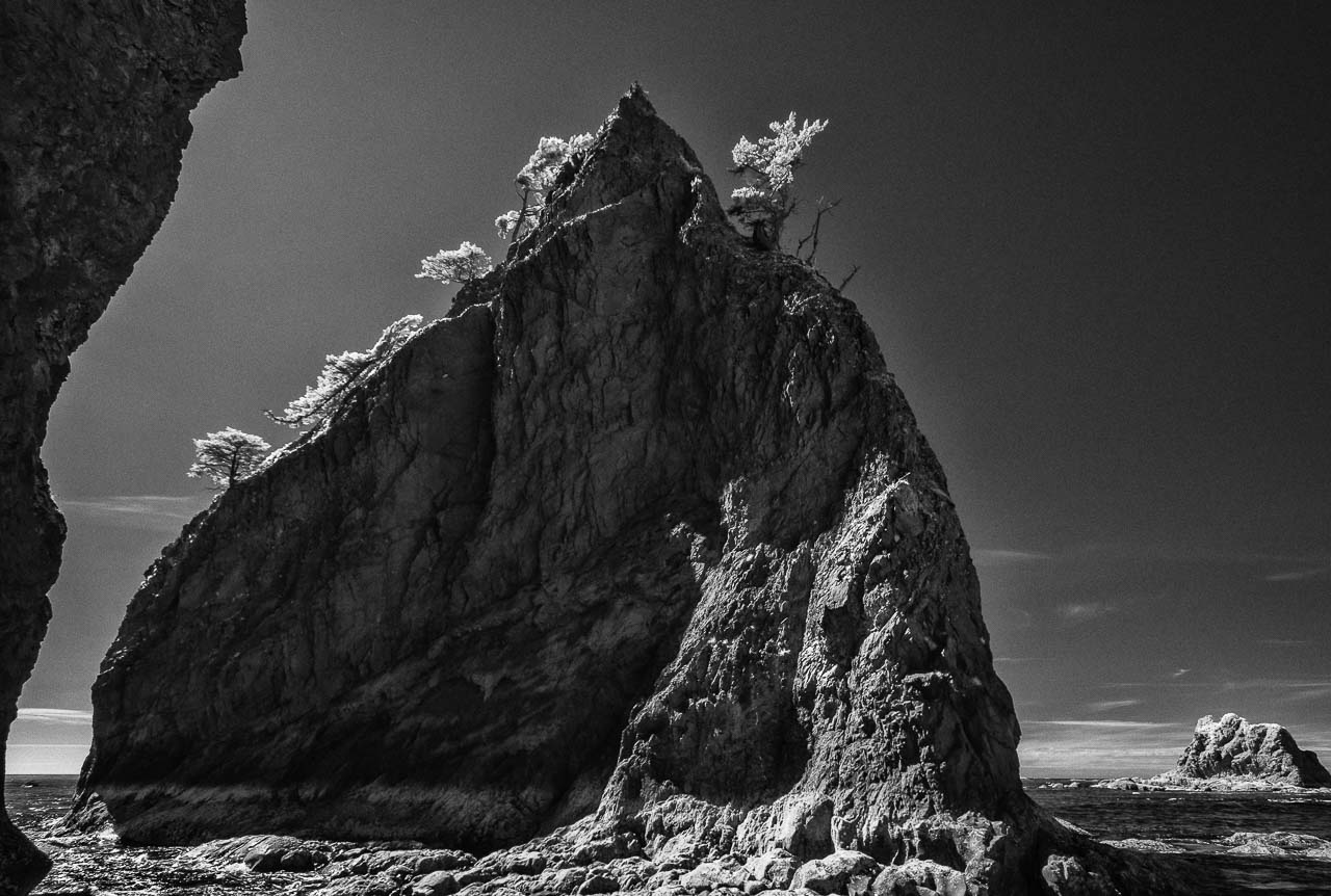 Wilde Küstenlandschaft am Pazifik: Rialto Beach im Olympic National Park im Nordwesten der USA.