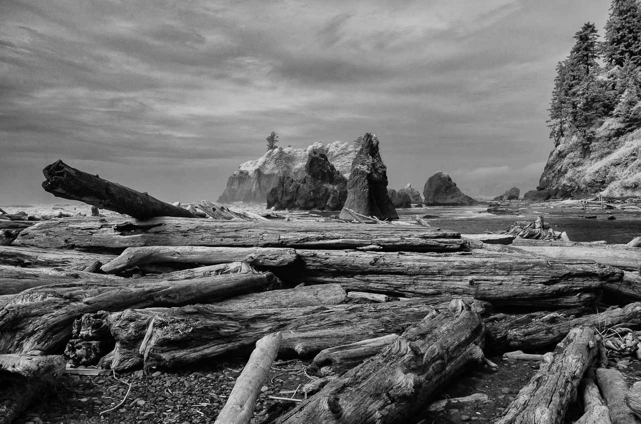 Wilde Pazifikküste im Olympic National Park im Nordwesten der USA: Ruby Beach, hier fotografiert mit einer digitalen Infrarotkamera in Schwarzweiß.