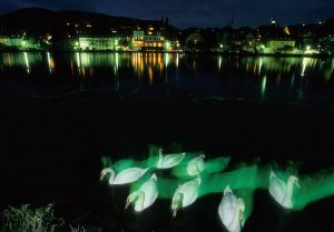 Schwäne auf der nächtlichen Mosel © Holger Rüdel