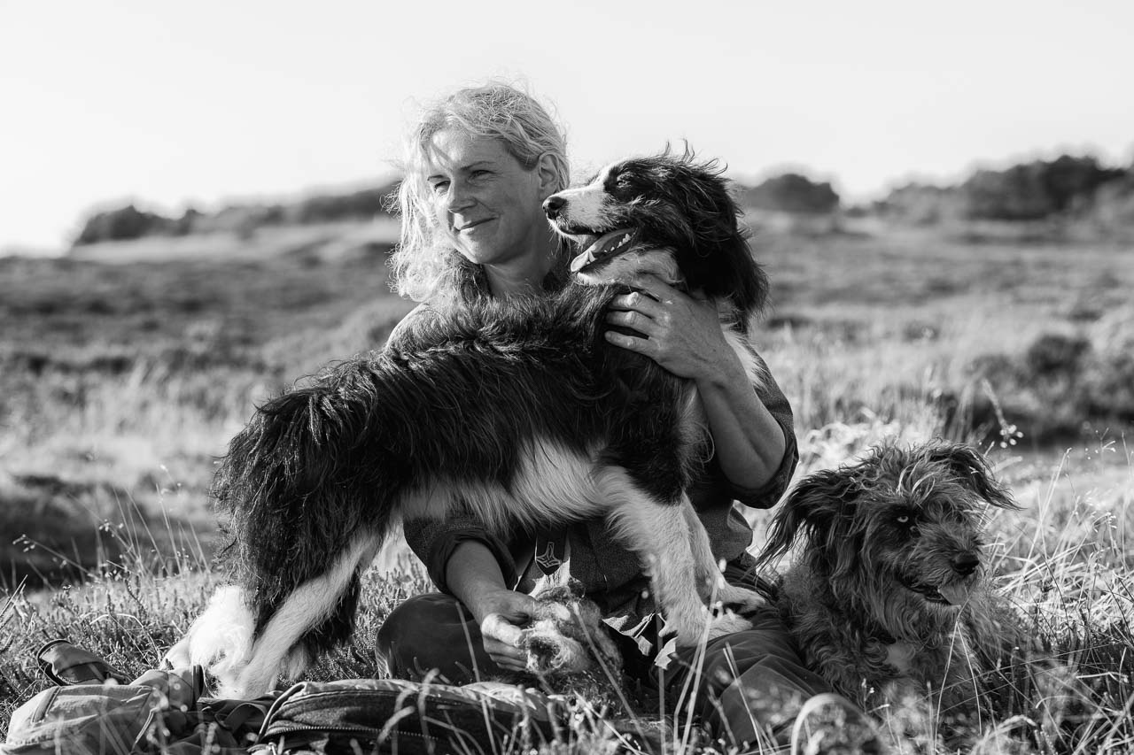 Uta Wree, die Wanderschäferin von Sylt, mit ihren Hunden Taff und Fanta (rechts) bei einer Pause in der Braderuper Heide.